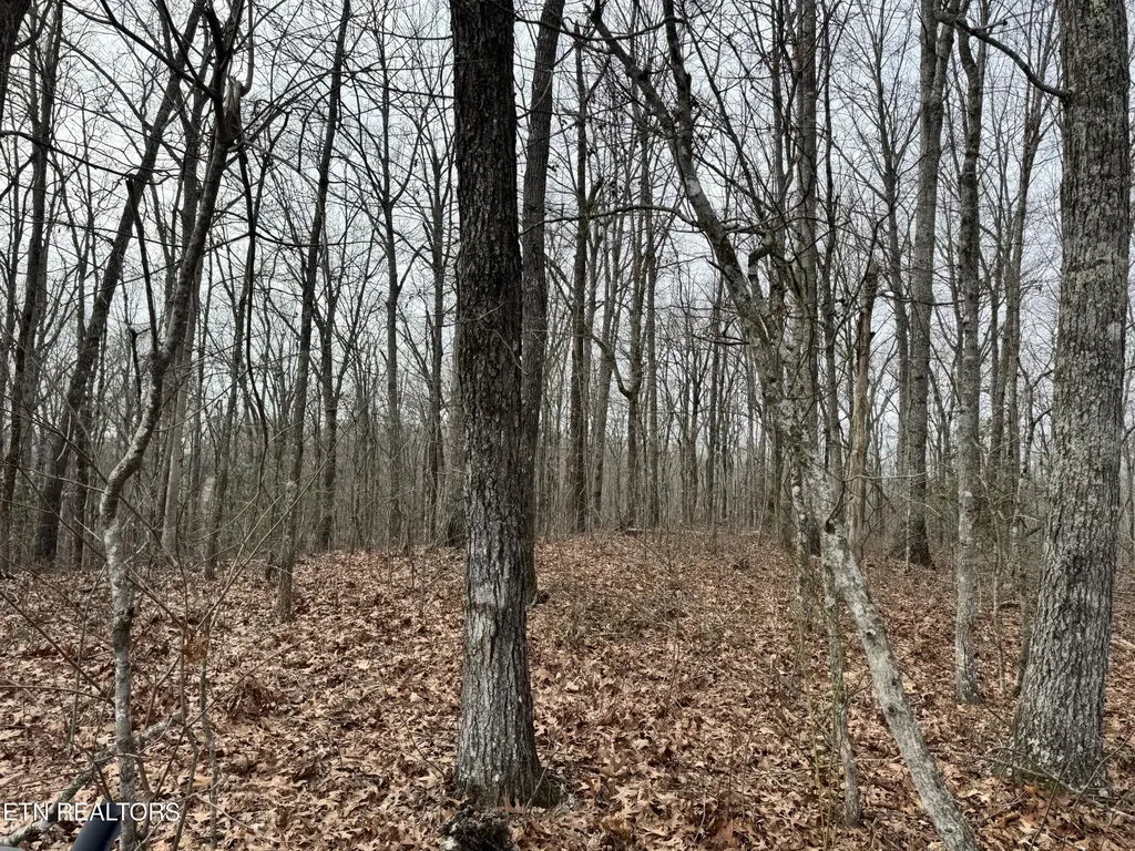 41 Smith Mountain Road Rockwood TN 37854