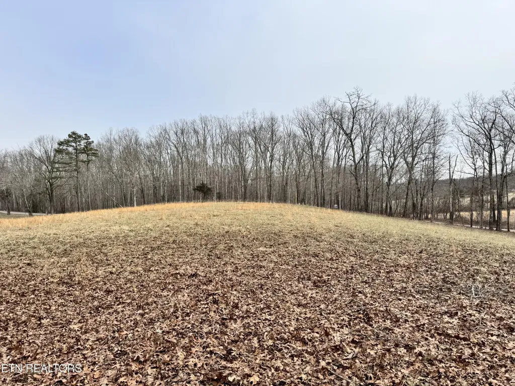 41 Smith Mountain Road Rockwood TN 37854