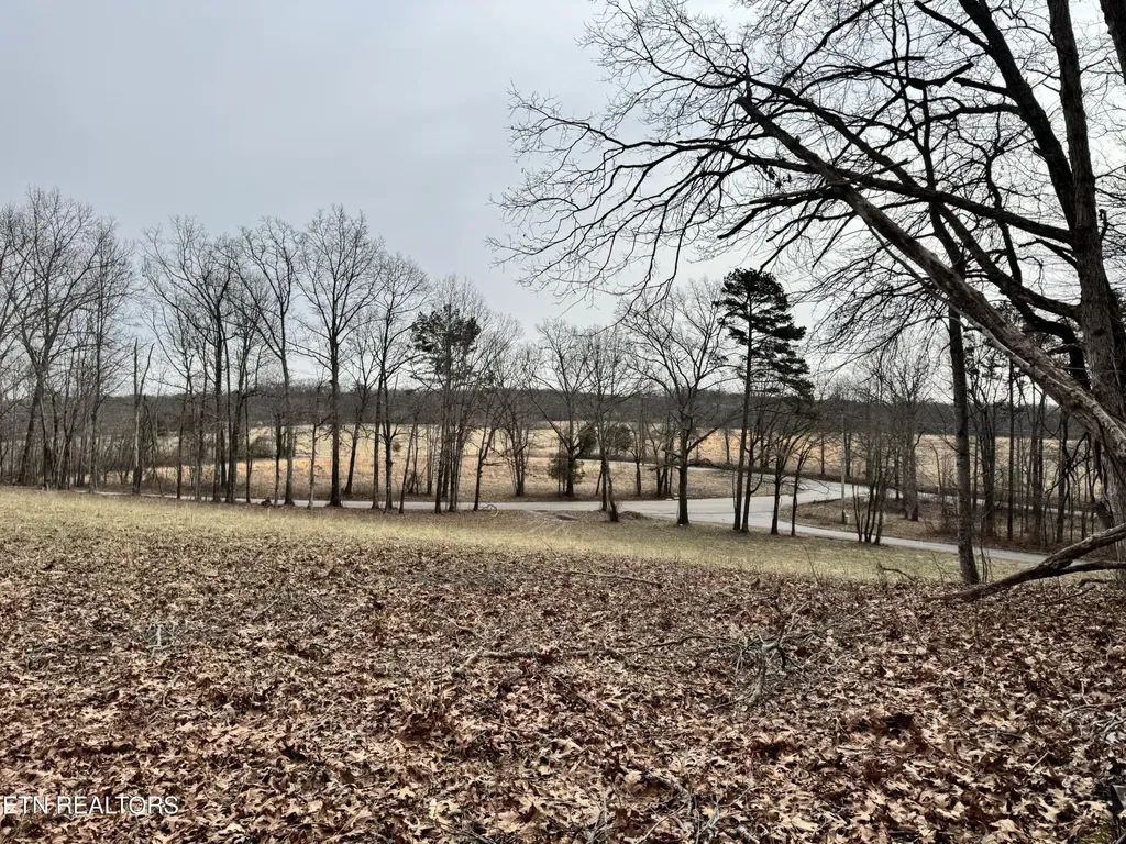 41 Smith Mountain Road Rockwood TN 37854
