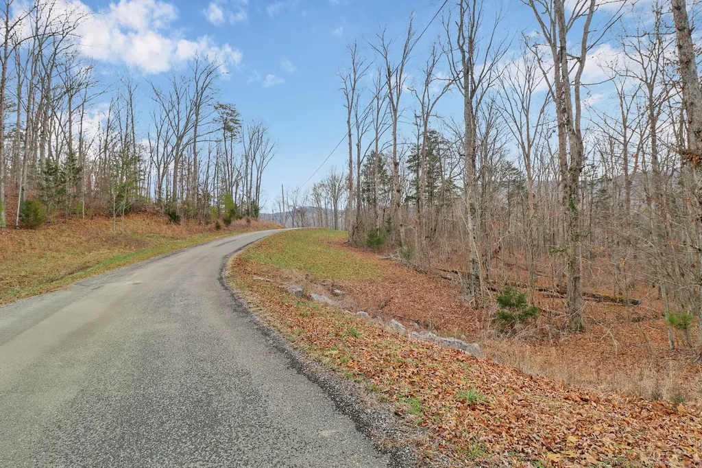 0 Cheyenne Drive Jamestown TN 38556