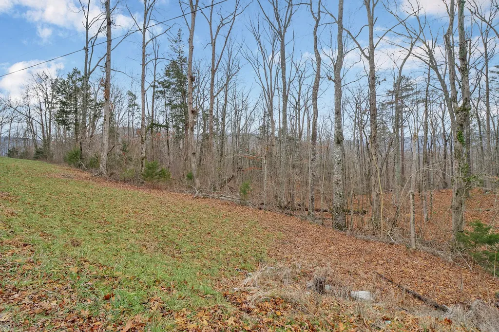 0 Cheyenne Drive Jamestown TN 38556