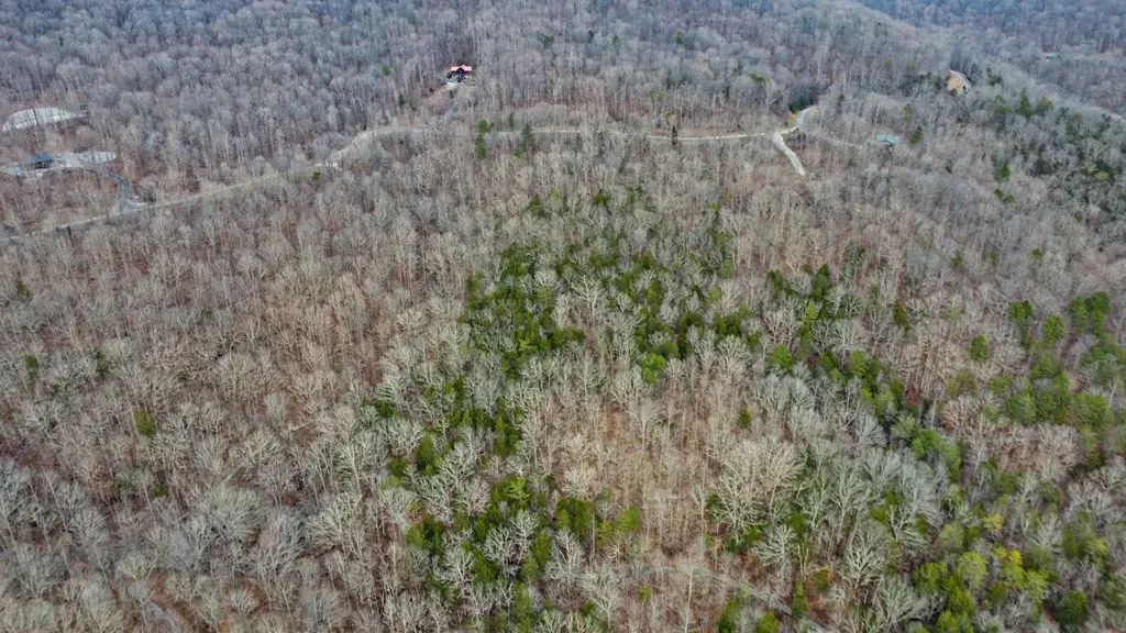 0 Cheyenne Drive Jamestown TN 38556