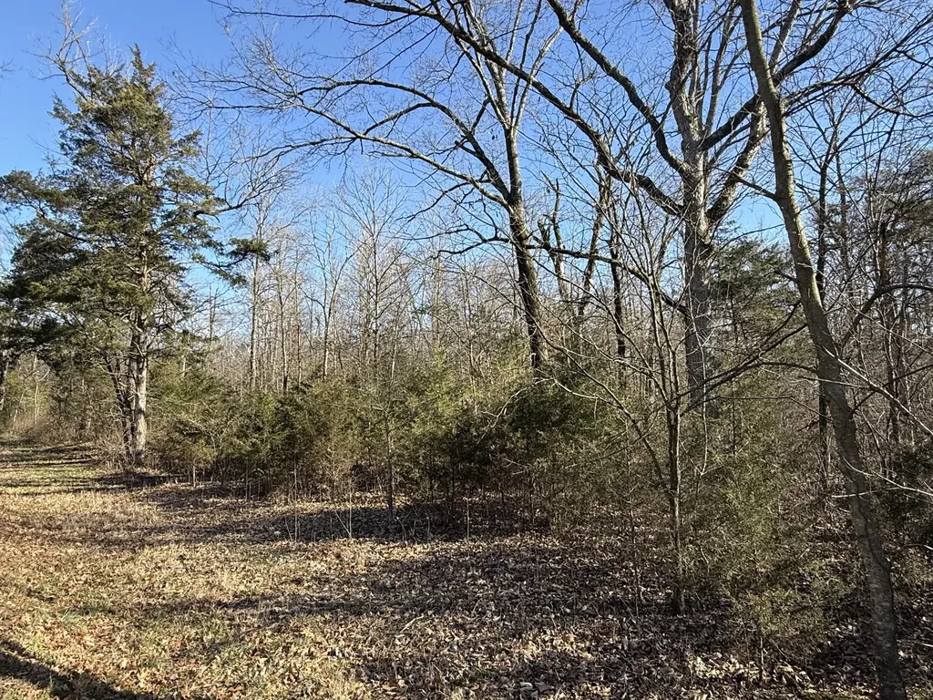 0 Warner Bridge Road Shelbyville TN 37160