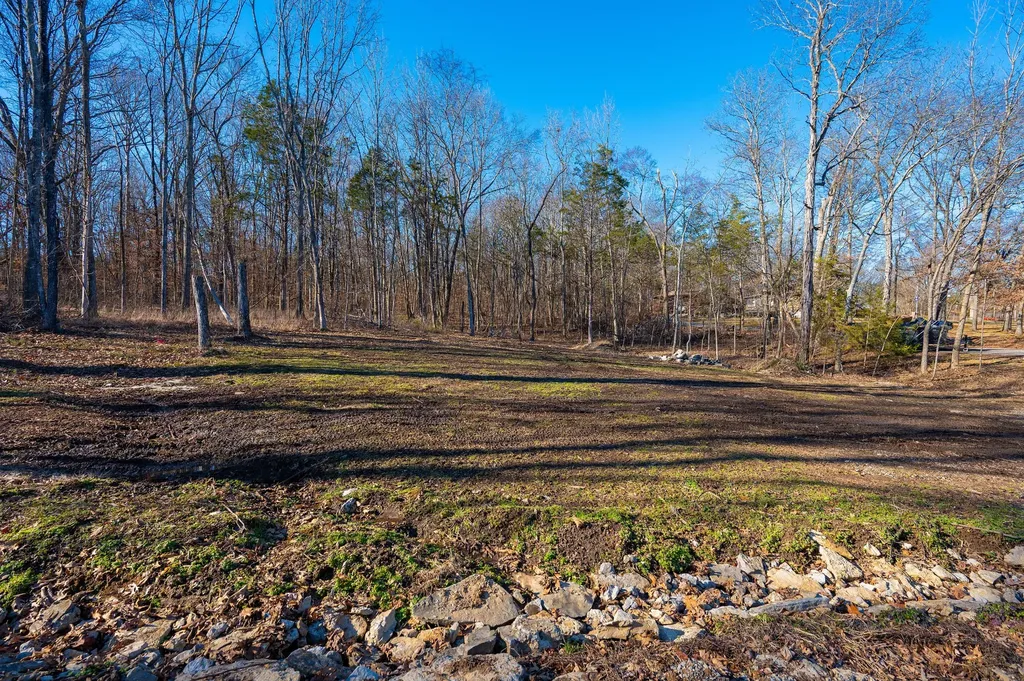 311 Carole Lane Mount Juliet TN 37122