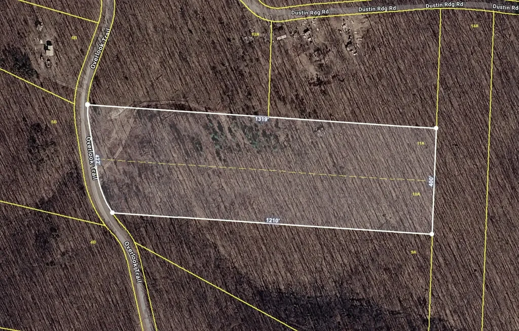 1442 Overlook Trail Spring City TN 37381