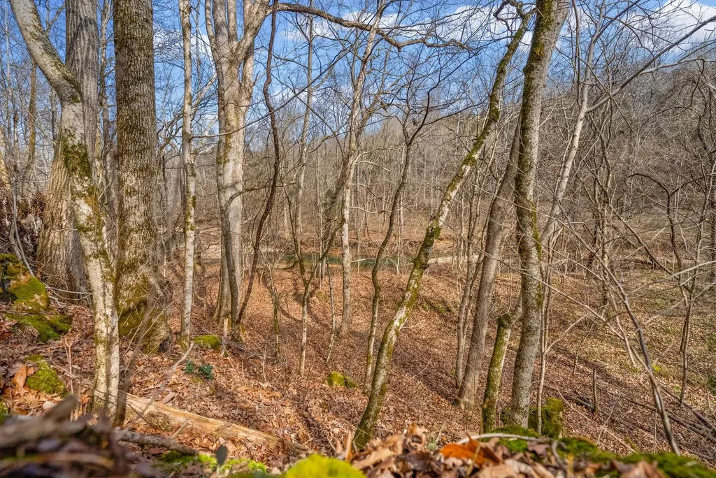 0 Harrell Lane Clarksville TN 37043