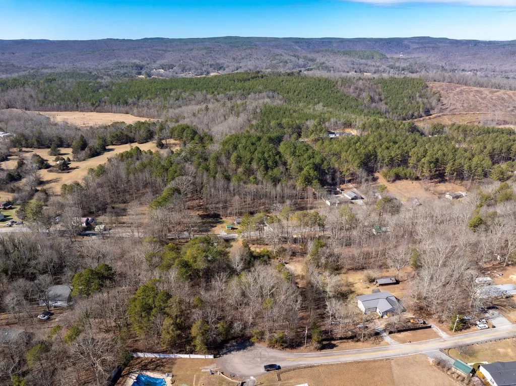 14440 Stormer Road Sale Creek TN 37373