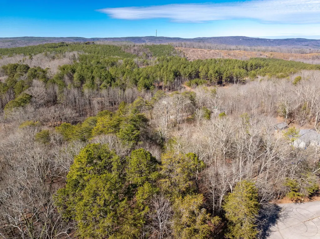 14440 Stormer Road Sale Creek TN 37373