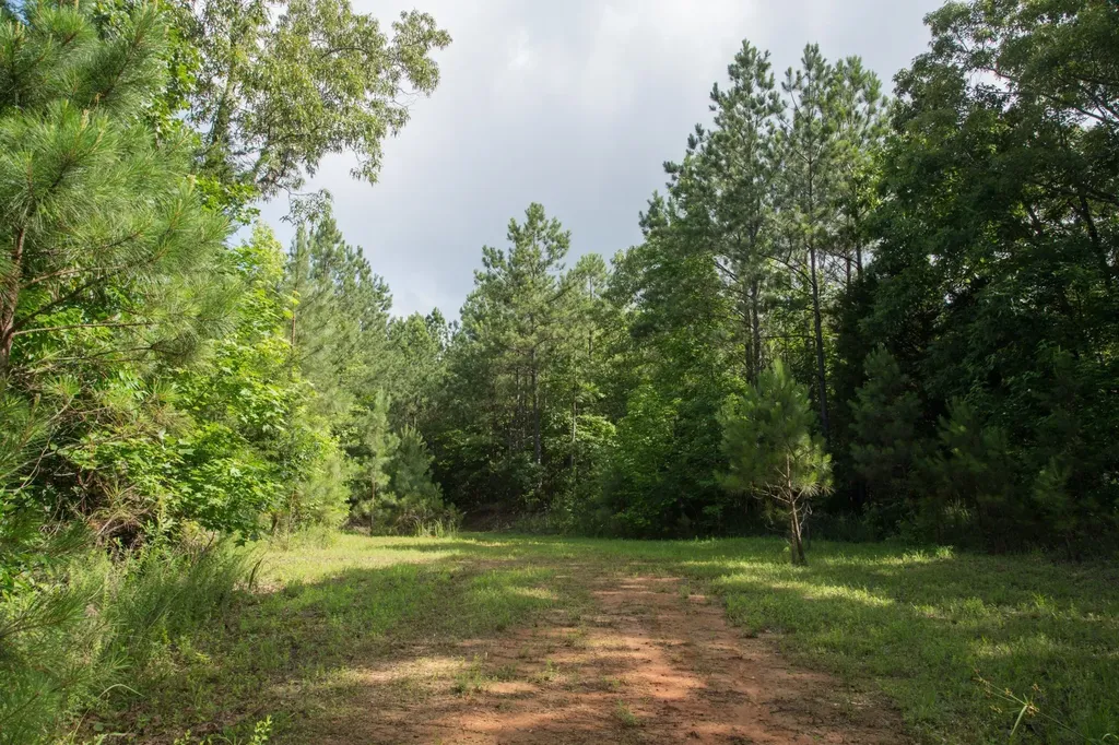 0 Old State Highway 69 Sugar Tree TN 38380