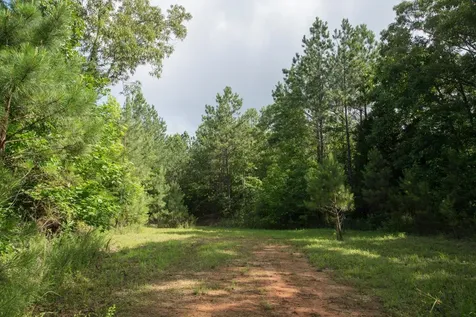 0 Old State Highway 69 Sugar Tree TN 38380