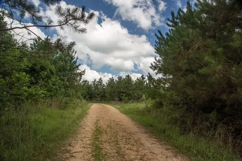 0 Old State Highway 69 Sugar Tree TN 38380