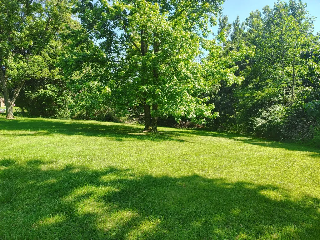 29 Bluebird Lane Lafayette TN 37083