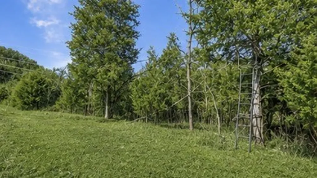 325 Freeman Lane Hartsville TN 37074