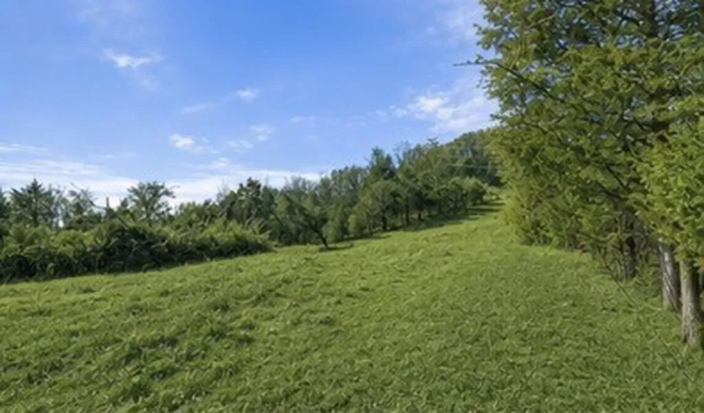325 Freeman Lane Hartsville TN 37074