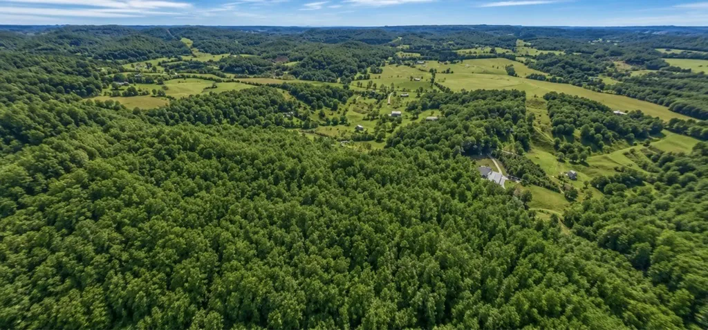 325 Freeman Lane Hartsville TN 37074