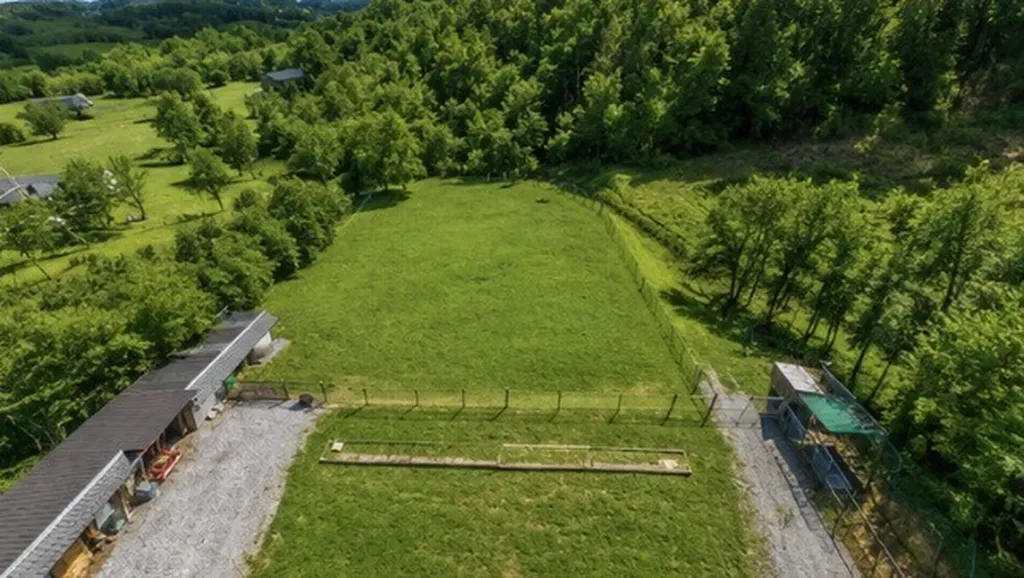 325 Freeman Lane Hartsville TN 37074