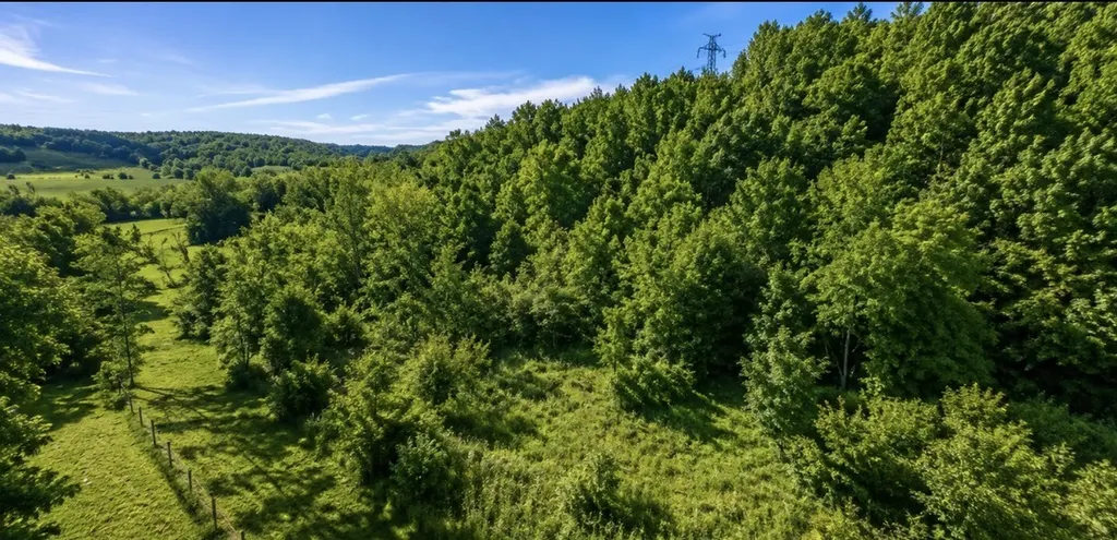 325 Freeman Lane Hartsville TN 37074