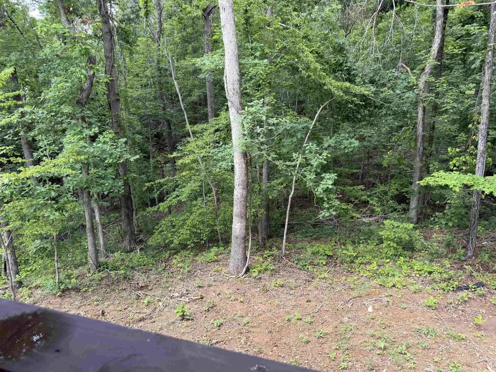 95 Shannon Lane Counce TN 38326