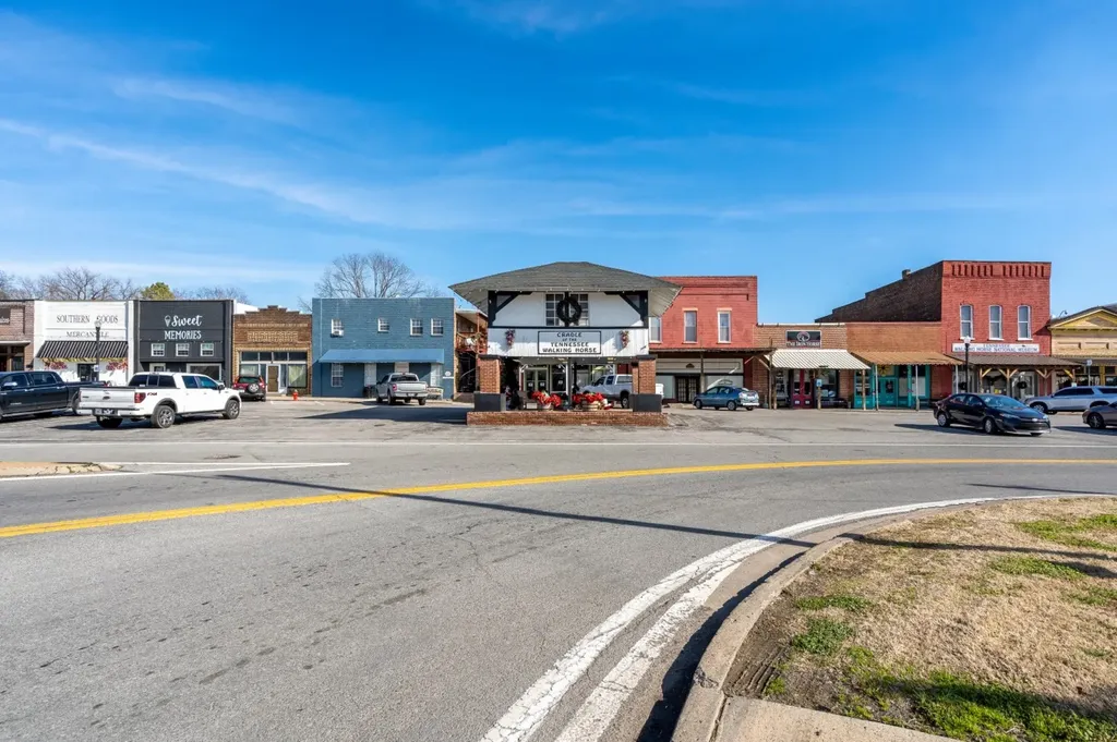 307 Vine St, S Wartrace TN 37183