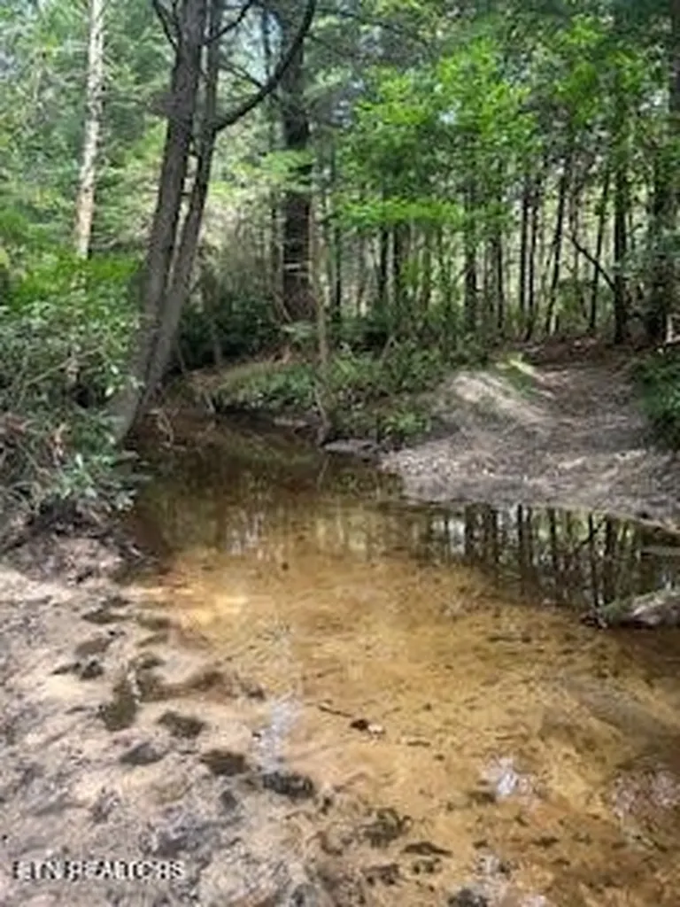 0 Ridge Top Drive Jamestown TN 38556