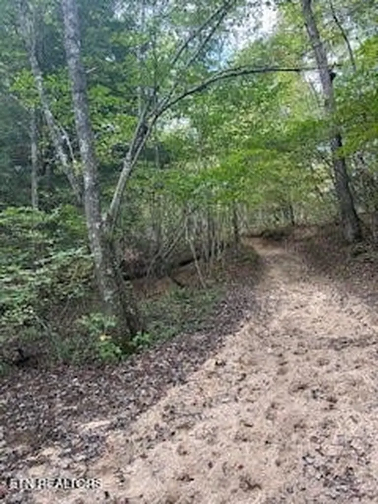 0 Ridge Top Drive Jamestown TN 38556
