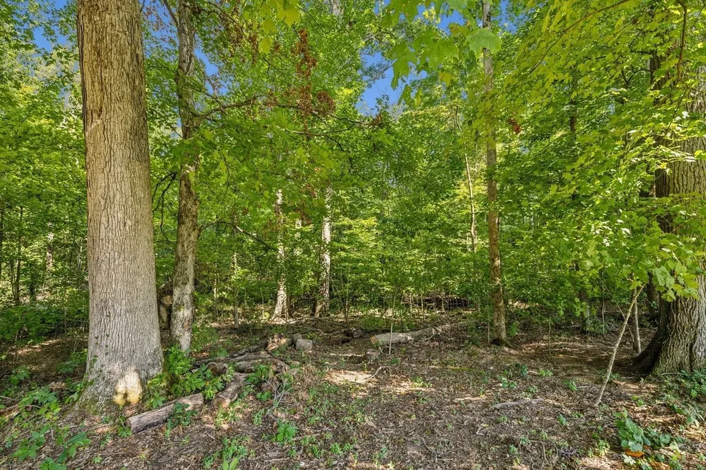 402 Zephyr Cove Lebanon TN 37087
