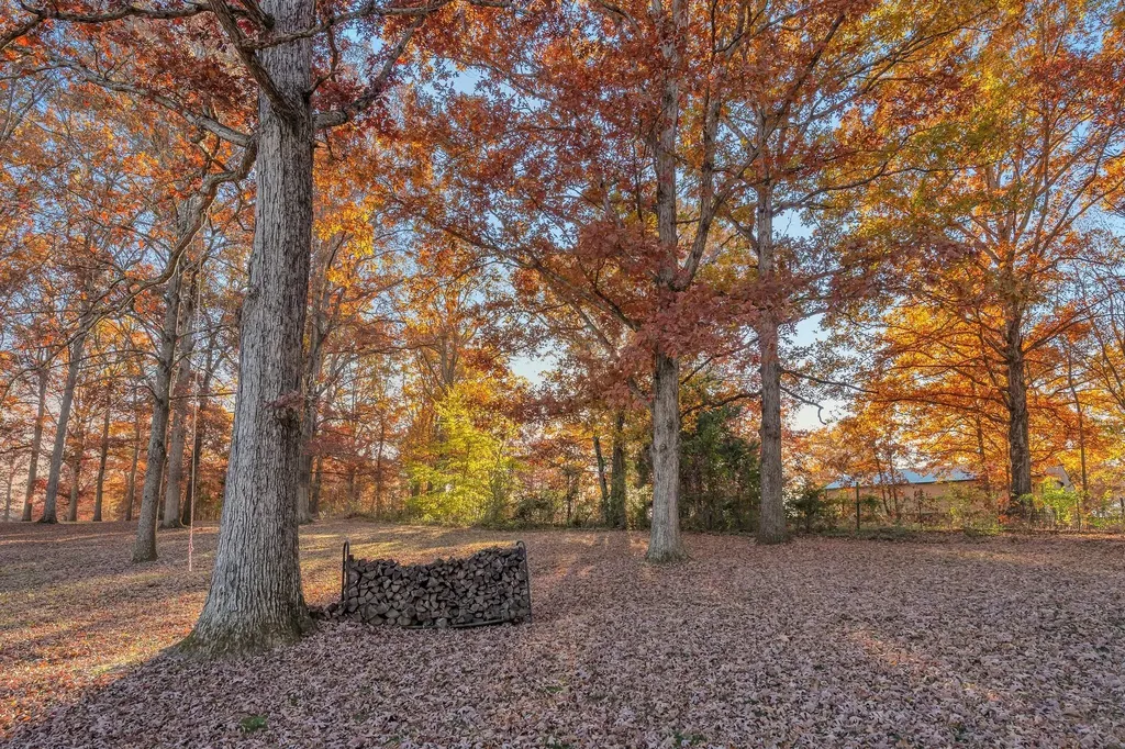 7315 Mccormick Drive Fairview TN 37062