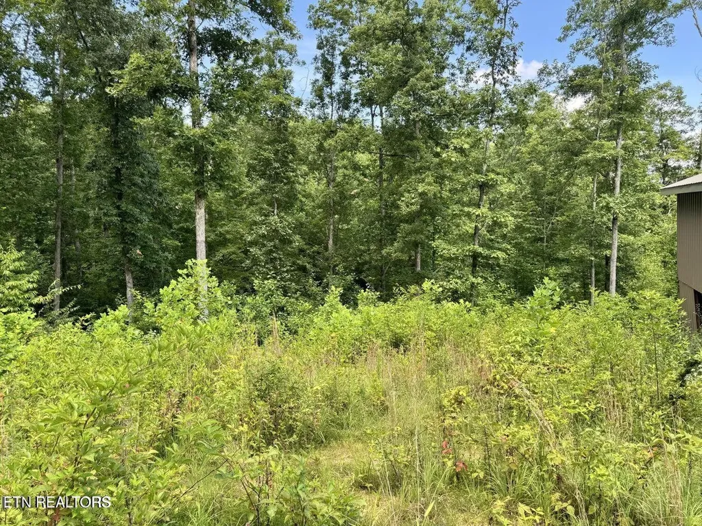 1291 Buck Lane Crawford TN 38554