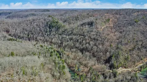 1291 Buck Lane Crawford TN 38554