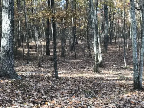 0 Timberwood Trace Monteagle TN 37356