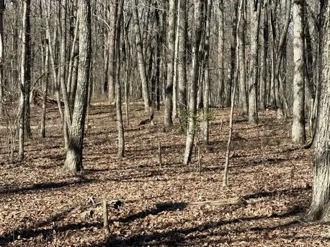 0 Timberwood Trace Monteagle TN 37356