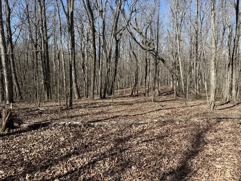 0 Timberwood Trace Monteagle TN 37356