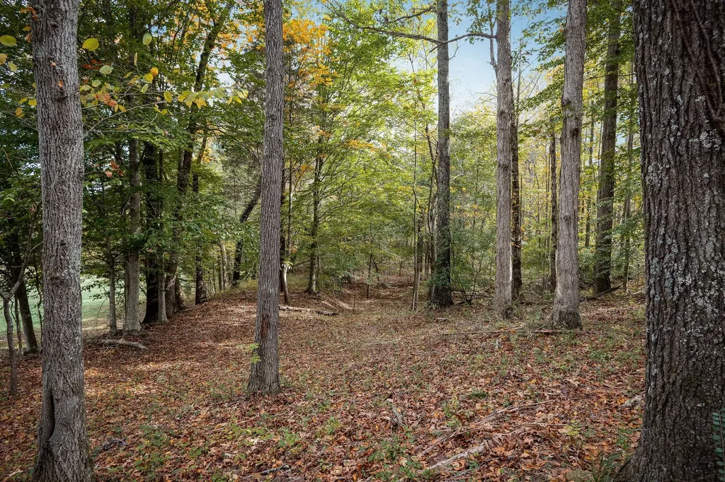 0 Goodbar Road Rock Island TN 38581