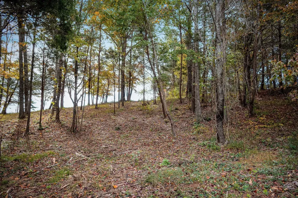 0 Goodbar Road Rock Island TN 38581