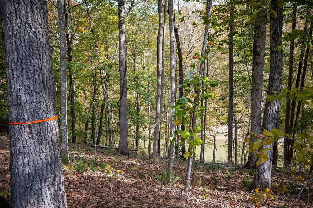 0 Goodbar Road Rock Island TN 38581
