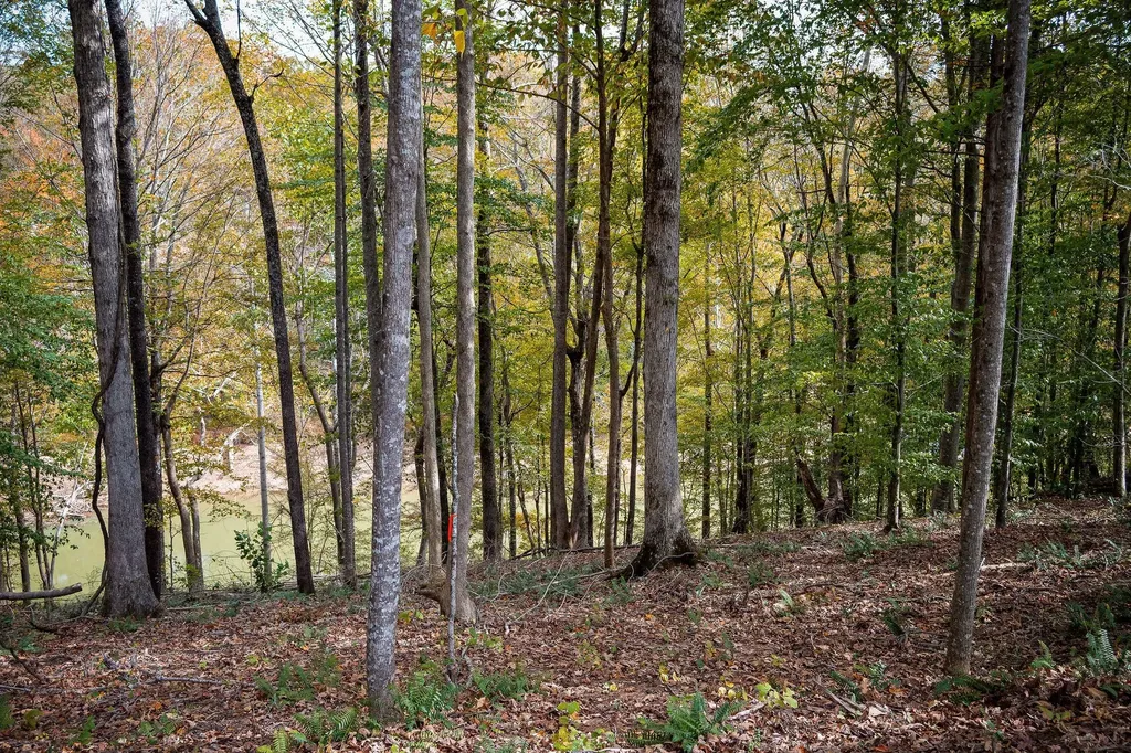 0 Goodbar Road Rock Island TN 38581