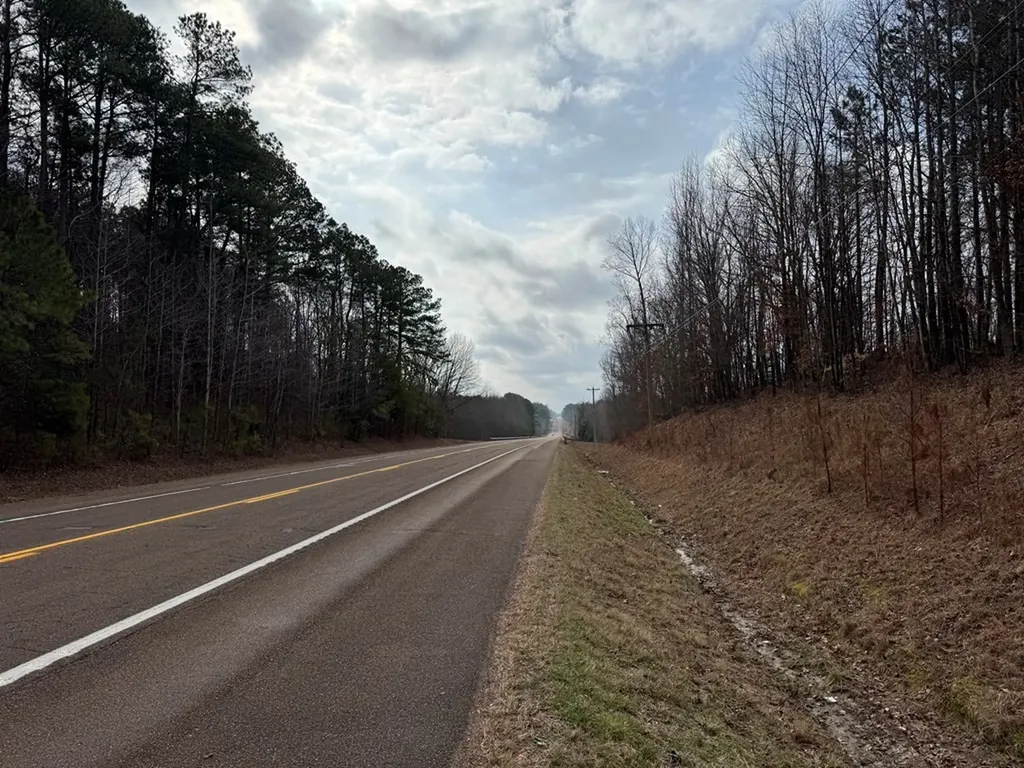 696 Williams Grove Road, N Camden TN 38320