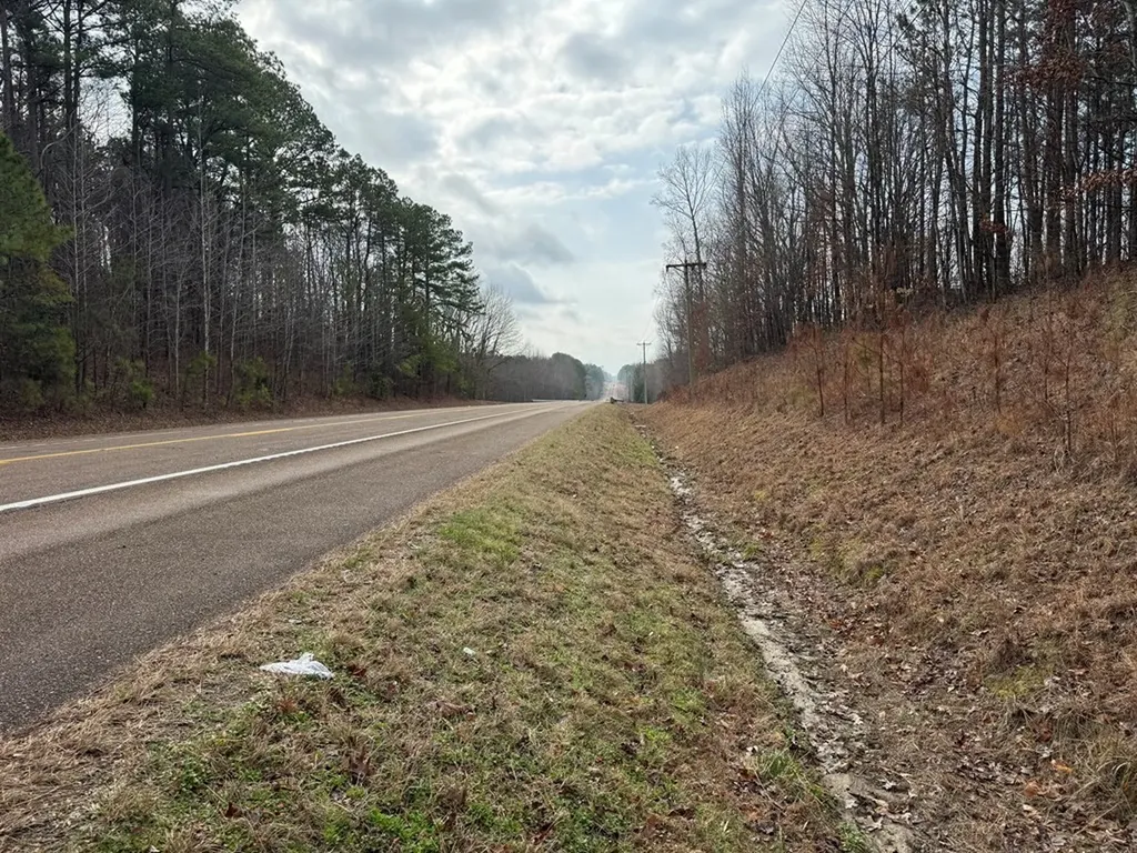 696 Williams Grove Road, N Camden TN 38320