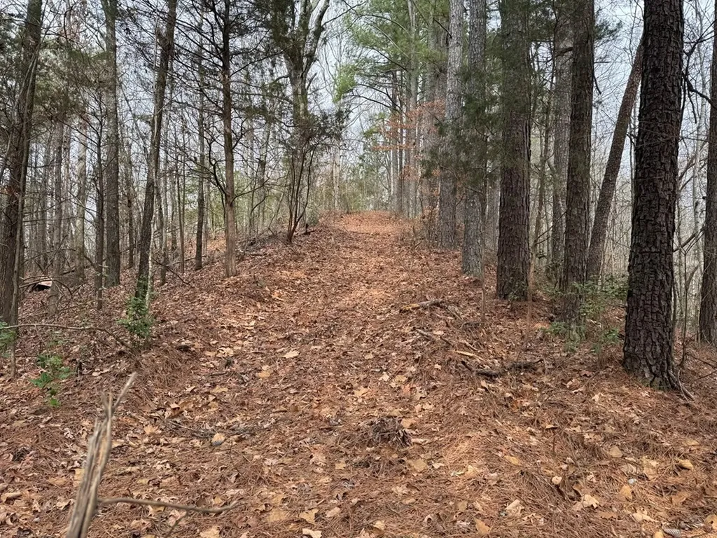 696 Williams Grove Road, N Camden TN 38320
