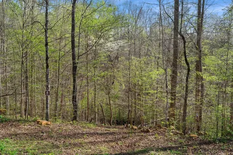 8012 Poplar Ridge Lane Primm Springs TN 38476