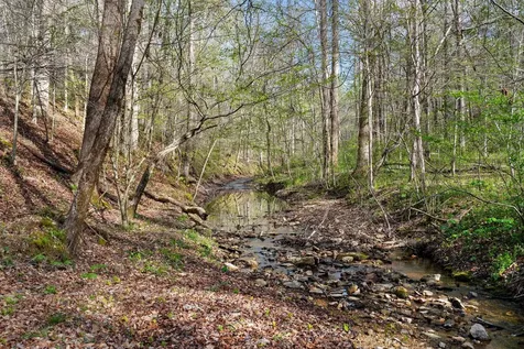 8012 Poplar Ridge Lane Primm Springs TN 38476
