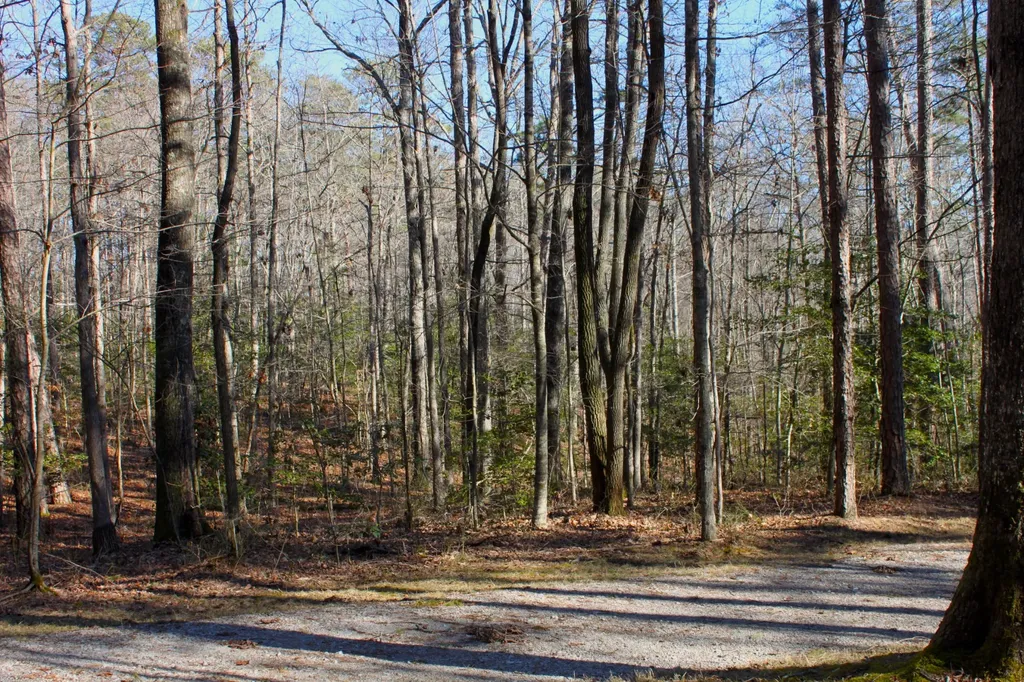 0 Woodfern Lane Coalmont TN 37313