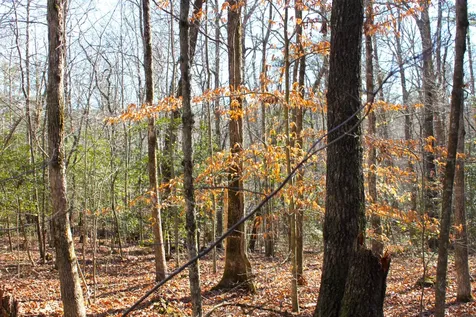 0 Woodfern Lane Coalmont TN 37313