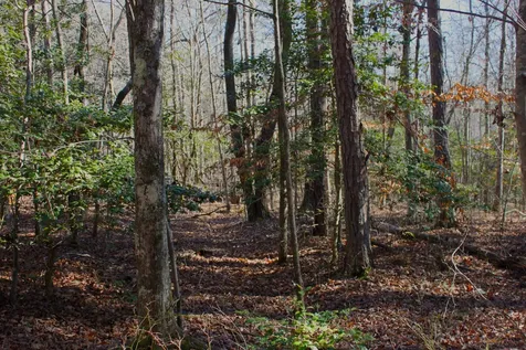 0 Woodfern Lane Coalmont TN 37313