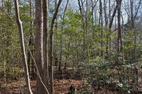 0 Woodfern Lane Coalmont TN 37313