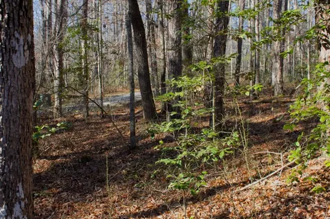 0 Woodfern Lane Coalmont TN 37313