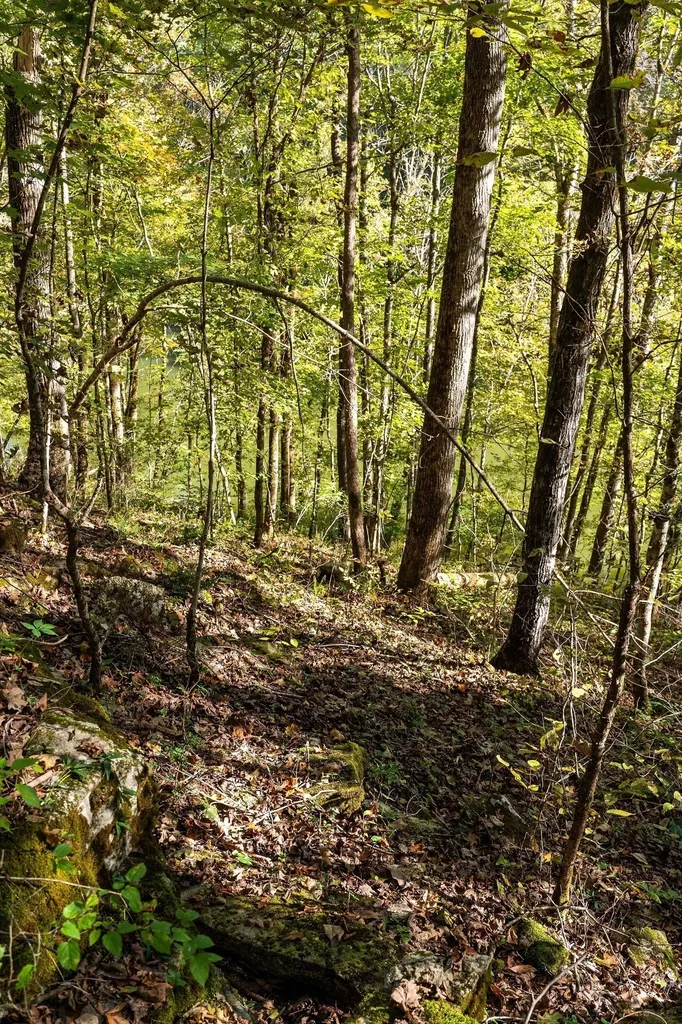 0 Goodbar Road Rock Island TN 38581