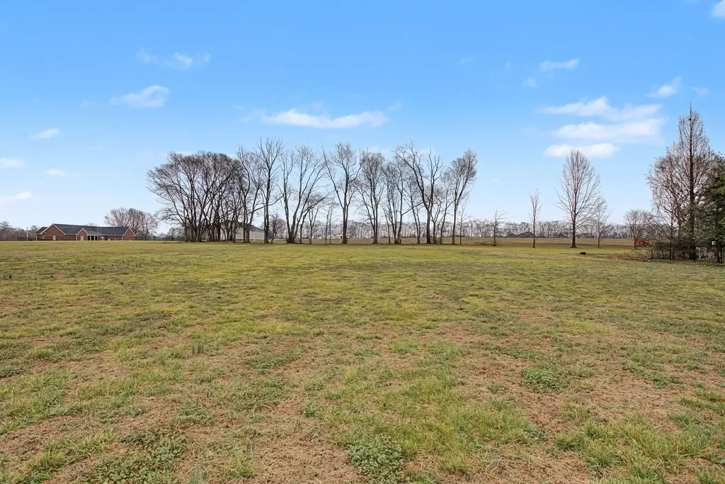 6913 Zion Crossing Court Columbia TN 38401