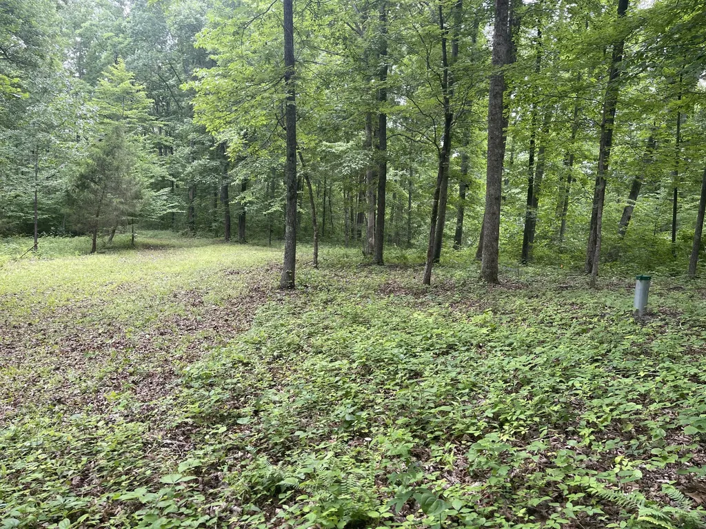 5510 Garrison Springs Court Franklin TN 37064