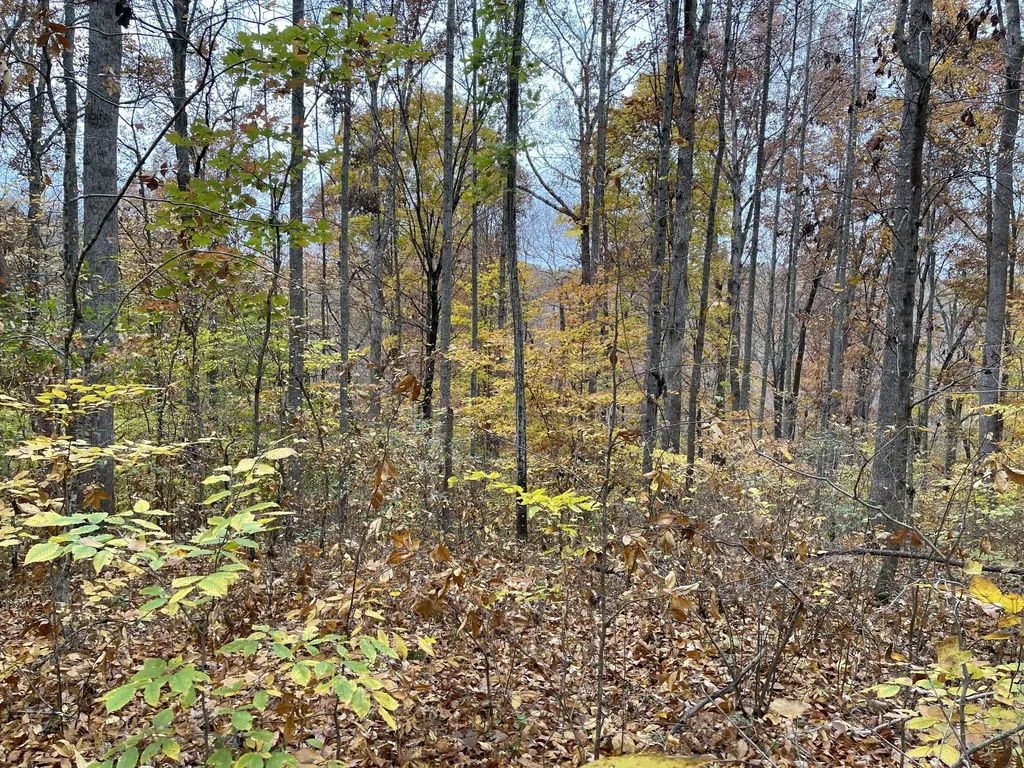 5510 Garrison Springs Court Franklin TN 37064
